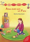 Alles dreht sich um Felix / Alleine Lesen Bd.4