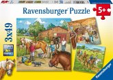 Ravensburger 09237 - Mein Reiterhof, 3 x 49 Teile Puzzle