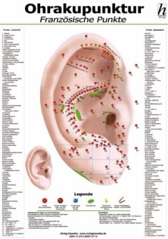 Ohrakupunktur Mini-Poster, französische Punkte Ohrakupunktur Mini-Poster, französische Punkte