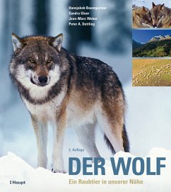 Der Wolf - Baumgartner, Hansjakob;Gloor, Sandra;Weber, Jean-Marc