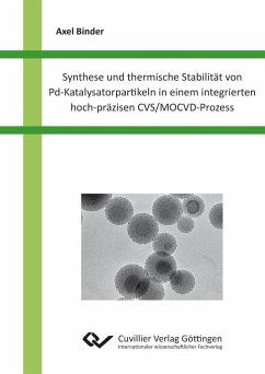 Synthese und thermische Stabilität von Pd-Katalysatorpartikeln in einem integrierten hoch-präzisen CVS/MOCVD-Prozess - Binder, Axel