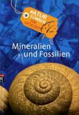 Mineralien und Fossilien / Naturführer für Entdecker