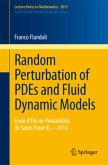 Random Perturbation of PDEs and Fluid Dynamic Models