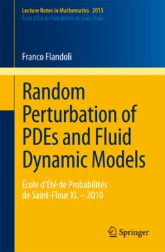 Random Perturbation of PDEs and Fluid Dynamic Models - Flandoli, Franco