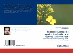 Rapeseed Androgenic Haploids: Production and Genetic Transformation