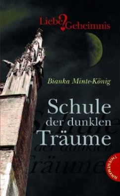 Cover Schule der dunklen Träume