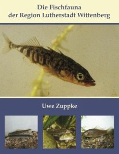 Die Fischfauna der Region Lutherstadt Wittenberg - Zuppke, Uwe