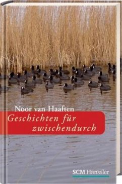 Geschichten für zwischendurch - Haaften, Noor van