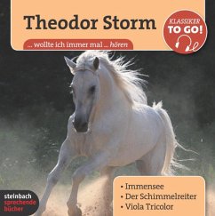 Theodor Storm, Klassiker to go - Storm, Theodor