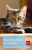 Homöopathie für Katzen