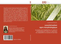 caractérisation agro-morphologique - Moukoumbi, Yonnelle Déa
