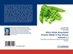 Nitric Oxide Associated Protein (NOA) in Pea (Pisum sativum L.)