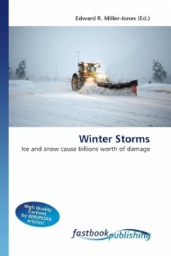Winter Storms - Miller-Jones, Edward R.
