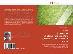 La réponse photosynthétique d''une algue verte à la carence en soufre - de Marchin, Thomas;Franck, Fabrice;Ghysels, Bart