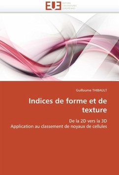 Indices de forme et de texture - THIBAULT, Guillaume