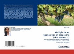Multiple shoot regeneration of grape vine (Vitis vinifera L.) - Kinfe, Beza