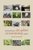 die splitter im kaleidoskop