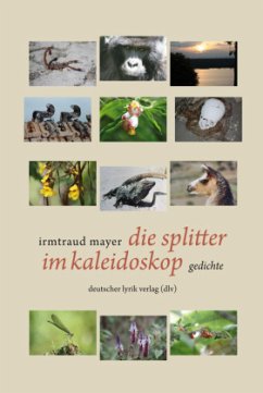 Cover die splitter im kaleidoskop
