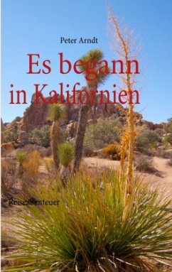 Es begann in Kalifornien - Arndt, Peter