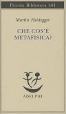 Che cos'è la metafisica?
