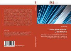 Laser passivement Q-déclenché - Maria, Jérôme