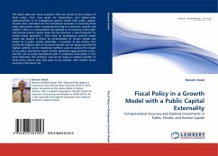 Fiscal Policy in a Growth Model with a Public Capital Externality