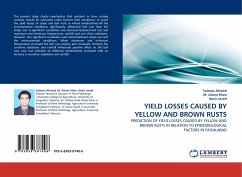 YIELD LOSSES CAUSED BY YELLOW AND BROWN RUSTS