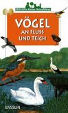 Vögel an Fluss und Teich