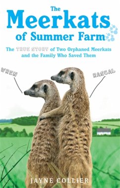 The Meerkats of Summer Farm - Collier, Jayne