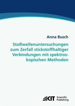 Stoßwellenuntersuchungen zum Zerfall stickstoffhaltiger Verbindungen mit spektroskopischen Methoden