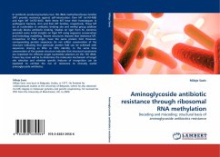Aminoglycoside antibiotic resistance through ribosomal RNA methylation