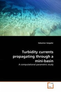 Turbidity currents propagating through a mini-basin - Saegeler, Sebastian