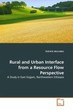 Rural and Urban Interface from a Resource Flow Perspective - MULUNEH, TESFAYE