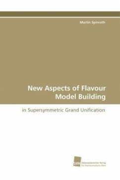 New Aspects of Flavour Model Building - Spinrath, Martin