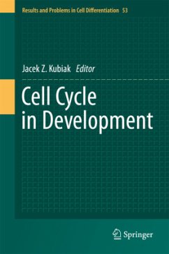 Cell Cycle in Development