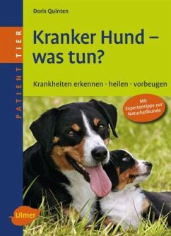 Kranker Hund - was tun? - Quinten, Doris