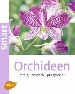 Orchideen - Röllke, Lutz