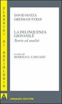 La delinquenza giovanile. Teorie ed analisi Cover La delinquenza giovanile. Teorie ed analisi