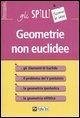 Geometrie non euclidee
