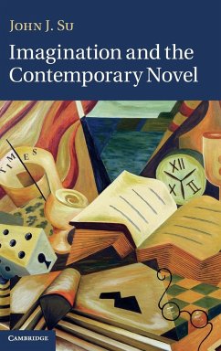 Imagination and the Contemporary Novel - Su, John J.