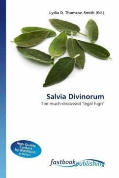 Salvia Divinorum