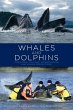 Whales and Dolphins - Bild 1