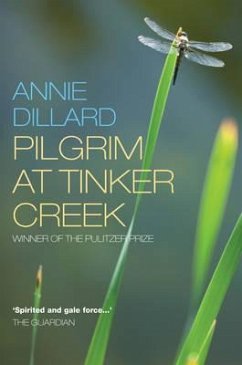 Pilgrim at Tinker Creek - Dillard, Annie