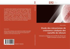 Etude des mécanismes de croissance catalysés des nanofils de silicium - Oehler, Fabrice