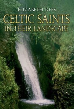 Celtic Saints in Their Landscape - Rees, Elizabeth