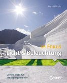 Licht & Beleuchtung im Fokus