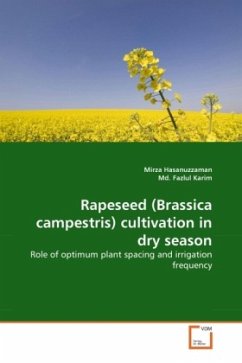 Rapeseed (Brassica campestris) cultivation in dry season