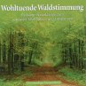 Wohltuende Waldstimmung - Bild 1