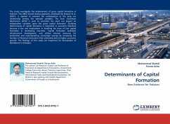 Determinants of Capital Formation