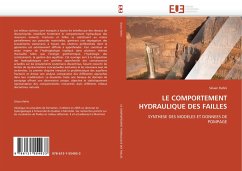 Le Comportement Hydraulique Des Failles - Rafini, Silvain